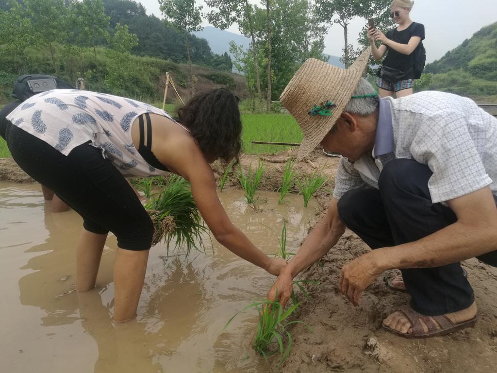 Zhangjiajie Jijiehao Inn エクステリア 写真